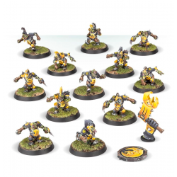 Equipo Blood Bowl: Goblins